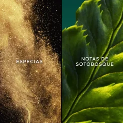 Best VOL DE NUIT EDT 75ML Mujer Eau De Toilette Mujer