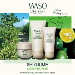 Hot Waso Shikulime Color Control Oil-Free Moisturizer 50 ml Fondo De Maquillaje|Imperfecciones