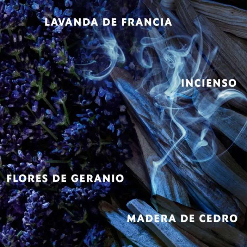 Outlet Y ELIXIR EAU DE PARFUM Hombre Eau De Parfum Hombre|Eau De Parfum