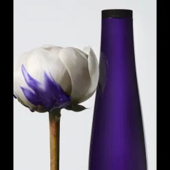 Sale YUBI BLONDE NEUTRA SHAMPOO Shampoo