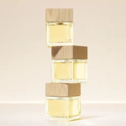 Hot Zen Eau de Parfum Mujer Eau De Parfum Mujer